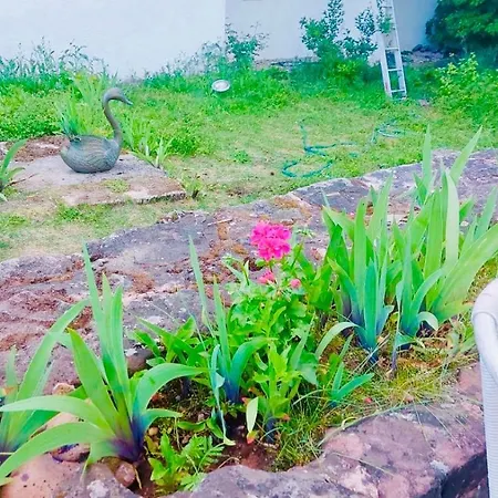 Luxus Im Schloss アパート Föckelberg